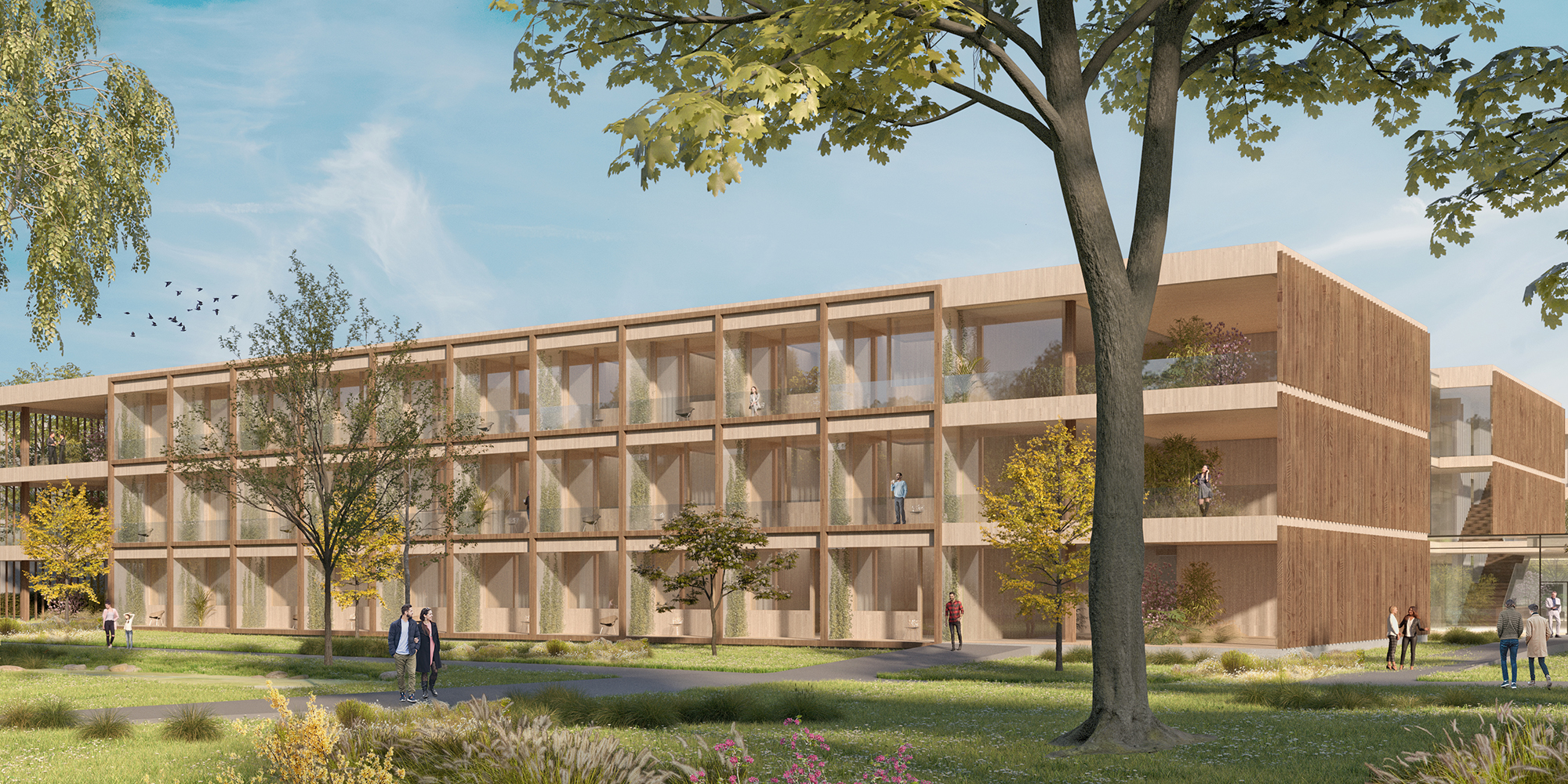 placeholder image-sq